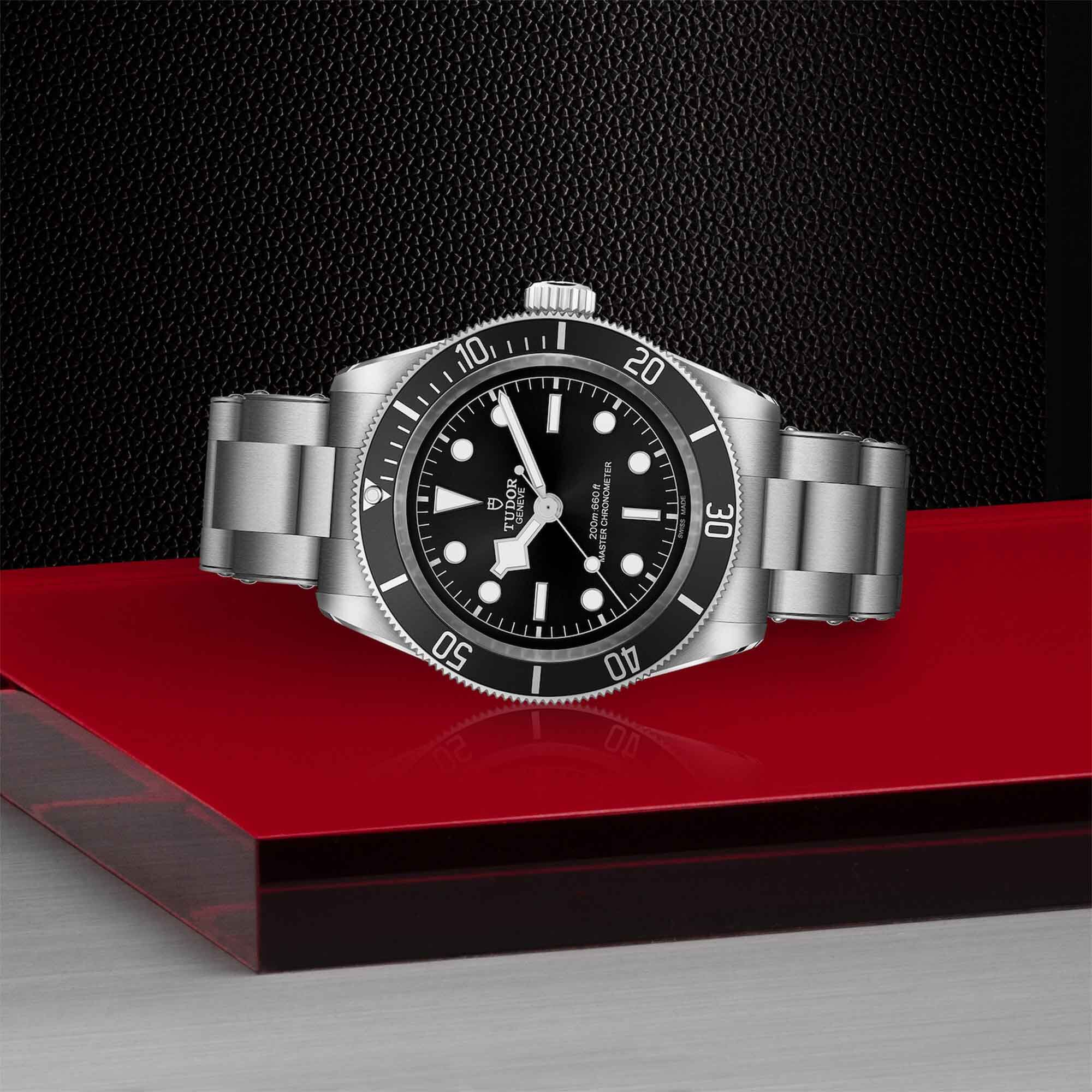 TUDOR Black Bay Automatic 41 mm Stainless Steel | Maison Birks